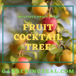 fruit cocktail tree