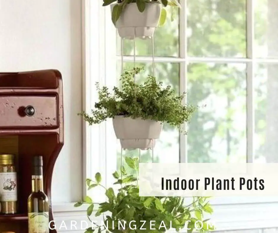 30+ Amazing Indoor Plant Pots You Must Try! - Gardening Zeal