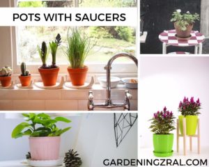 indoor plant pots with saucers