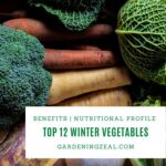 Winter vegetables