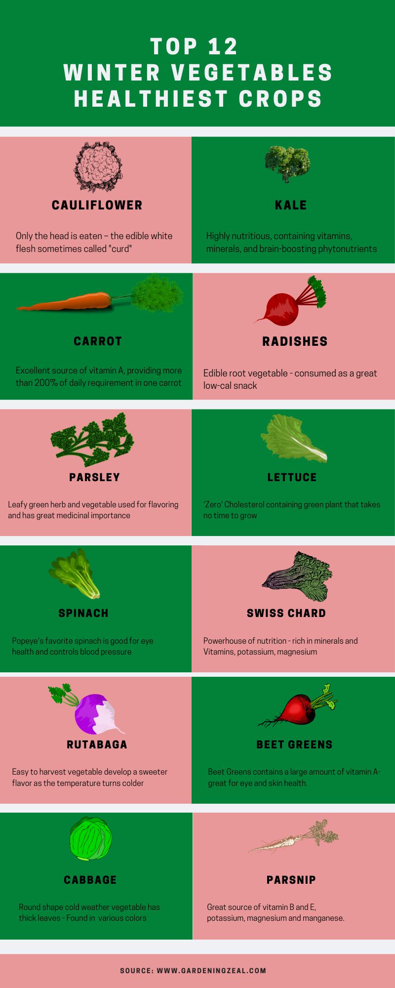 winter vegetables 