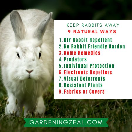 how to keep rabbits out of garden without a fence