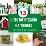 gifts for organic gardeners