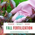 fall fertilization of lawns