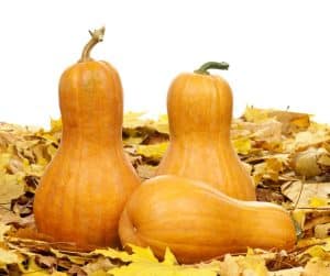 How to store butternut squash